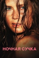 Фильм: Ночная сучка