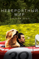 Фильм: Невероятный мир глазами Энцо
