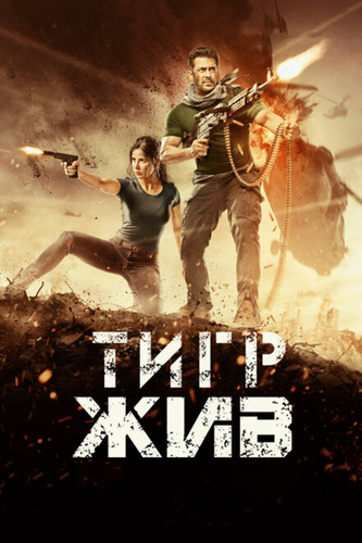 Тигр жив (2017). Tiger Zinda Hai