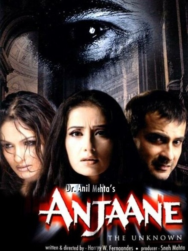Чужаки (2005). Anjaane: The Unkown