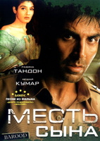 Фильм: Месть сына