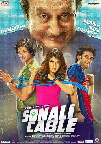 Кабельный Интернет Сонали (2014). Sonali Cable